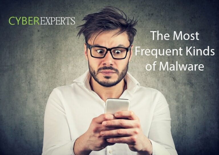 The Most Frequent Kinds of Malware