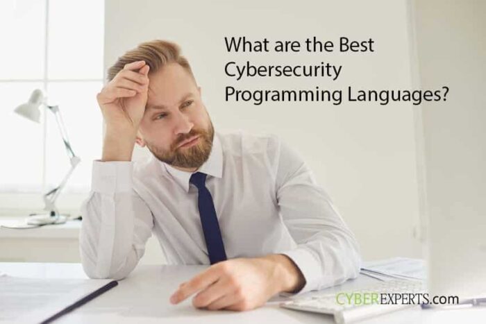What are the Best 9 Cybersecurity Programming Languages? - CyberExperts.com