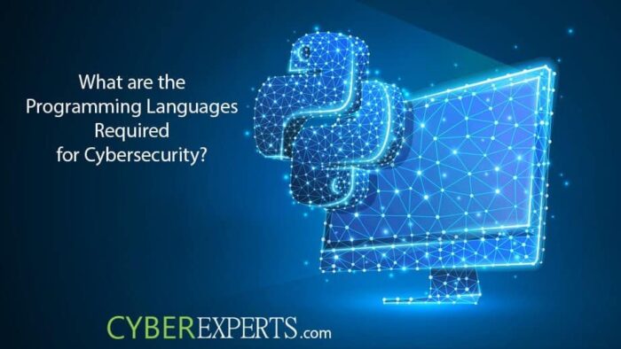 5 Programming Skills Essential for a Career in Cybersecurity ...