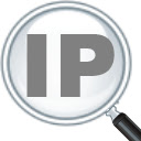 IP Address and Domain Information Chrome Extension