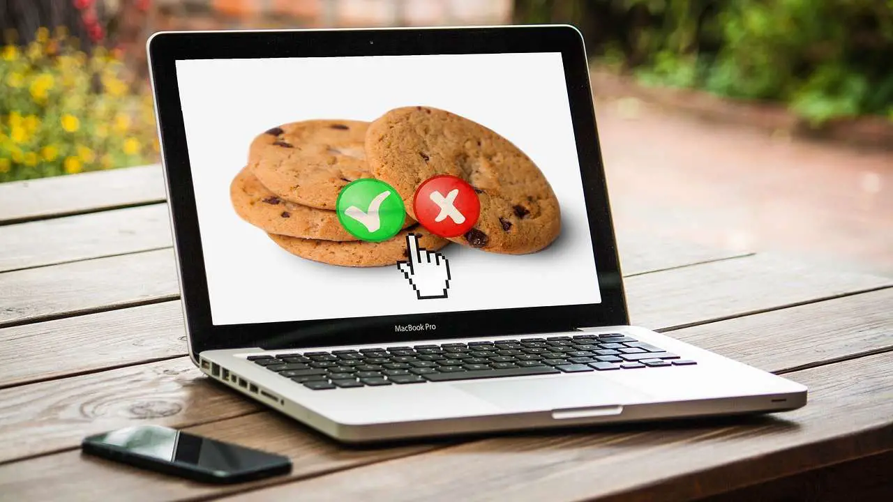 Cookies and Computer Security