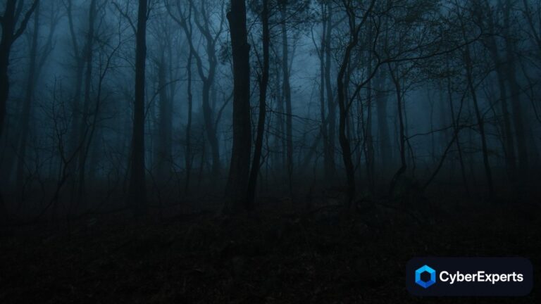 Are Dark Web Scans Effective?