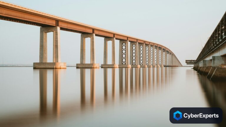 Bridging the Gap Between Cybersecurity and Information Systems Management