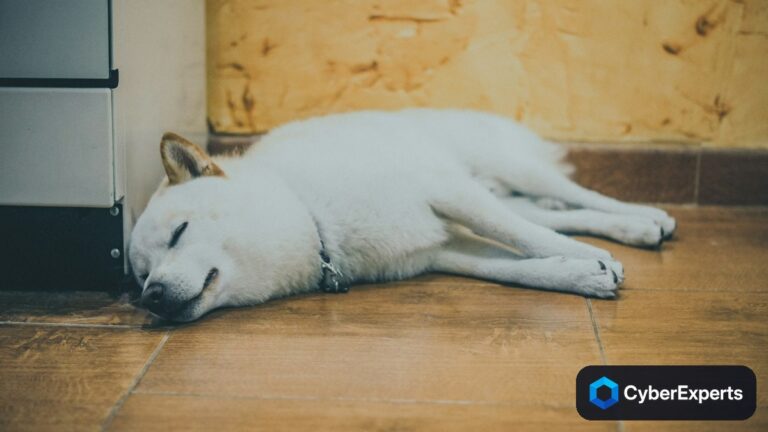 Canine Cryptocurrency Chaos: DOGE Allegedly Sparks Major Cybersecurity Breach