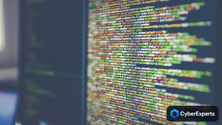 Everything you Need to Know about Fuzz Testing